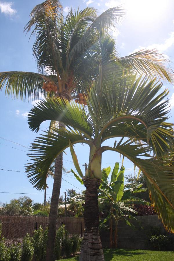 Jolie Case Creole, Lagon A Pied, Jardin Saint-Gilles-les-Bains Exterior photo